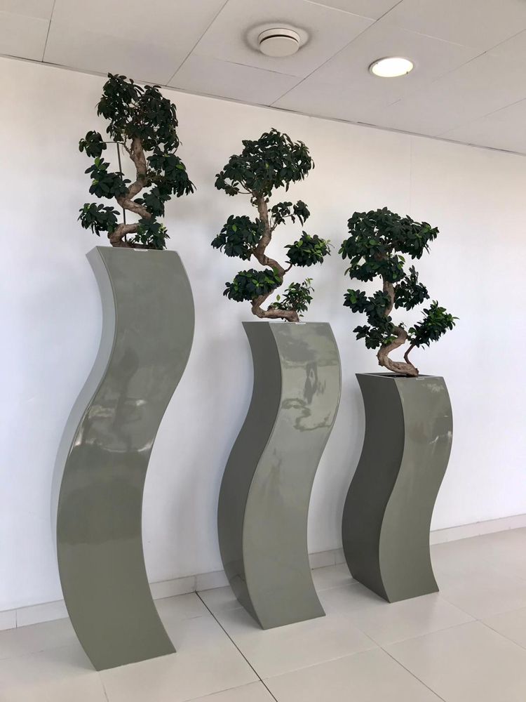 Plante location longue durée entreprise