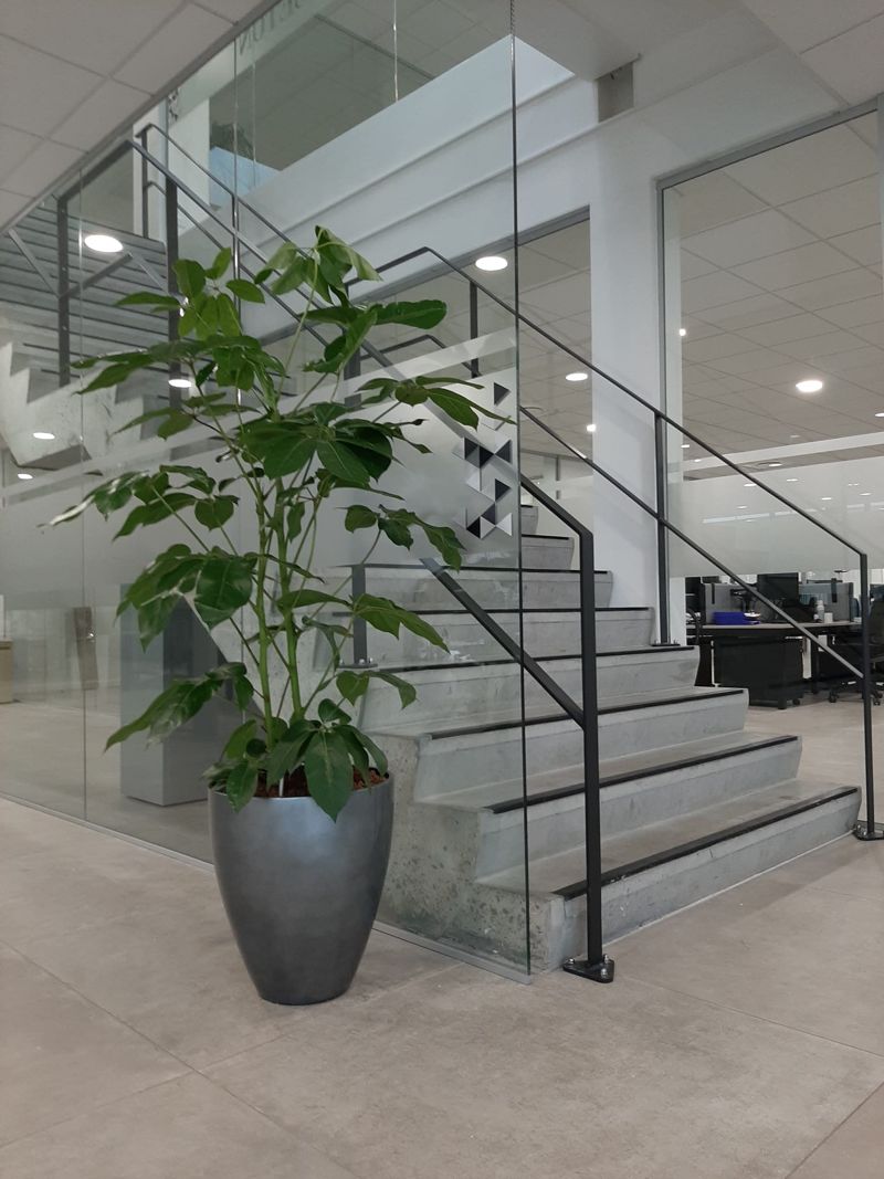 Location plantes et pots sur Roncq