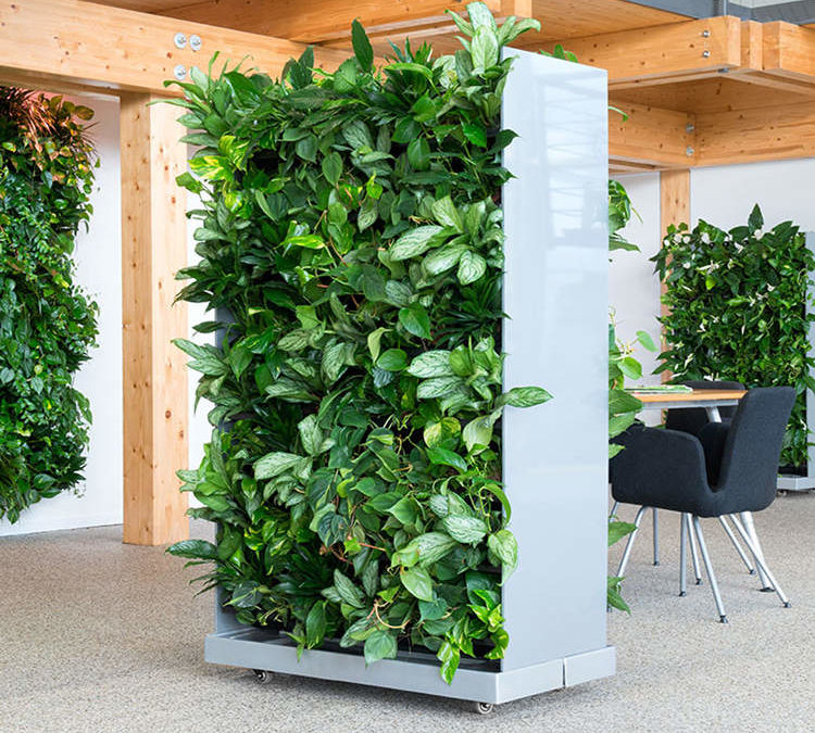 Entretien mur végétal, Nature végétale installe et entretient vos plantes dans vos établissements