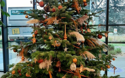 Sapin de Noël décoré pour la Cité des Échanges à Lille – Vente de sapins Nordmann pour votre établissement !