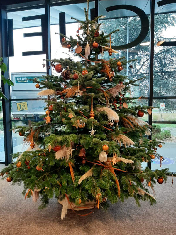 Vente de sapin décoré pour votre entreprise