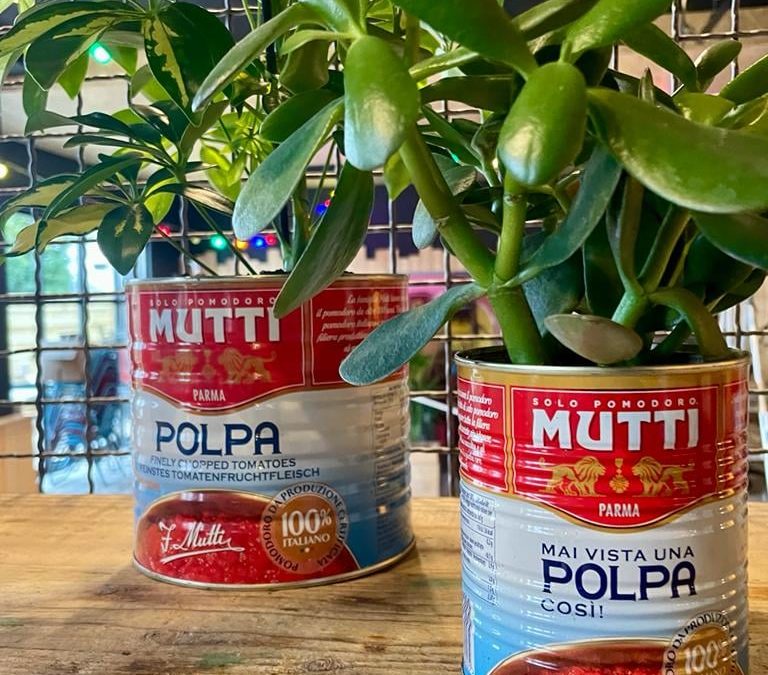 Décoration végétale originale de plantes avec des pots de sauce tomate pour une Pizzeria