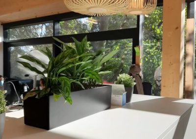 Aménager vos bureaux avec la pose de jardinieres et plantes vertes