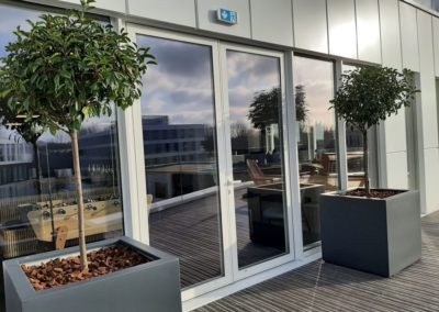 Aménager vos extérieurs par l'aménagement de pots et plantes