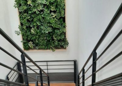 Location de mur végétal en plantes naturelles