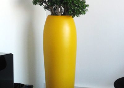 Plantes vertes avec pot jaune pour agencer vos espaces et salle de pose