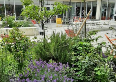 Terrasse et aménagement de vos exterieurs - Nature Végétale