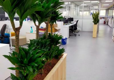 Agencer vos bureaux par la location de plantes et pots sur-mesure