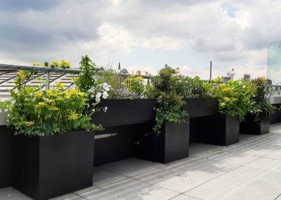 Aménager vos espaces et terrasses par de la location de plantes et bacs