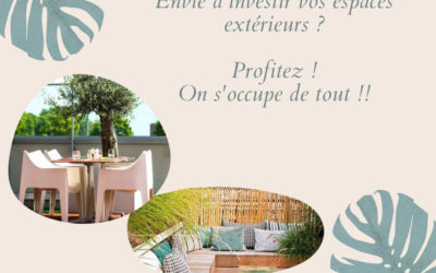 Espaces Extérieurs, Nature Végétale aménage vos extérieurs pour le bien-être de vos collaborateurs grâce aux plantes et mobilier végétal