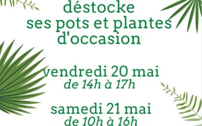 Déstockage de plantes et pots pour végétaliser vos espaces intérieurs ou extérieurs.