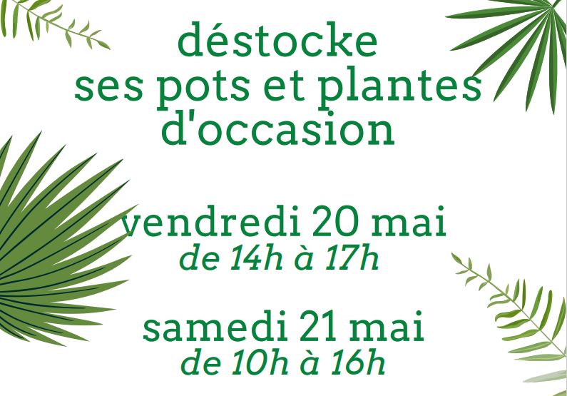 Déstockage de plantes et pots pour végétaliser vos espaces intérieurs ou extérieurs.