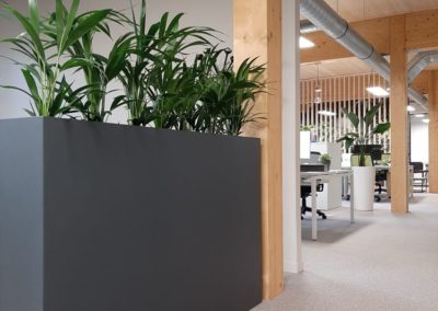 Fabrication et installation de pot sur-mesure avec location de plantes bureaux