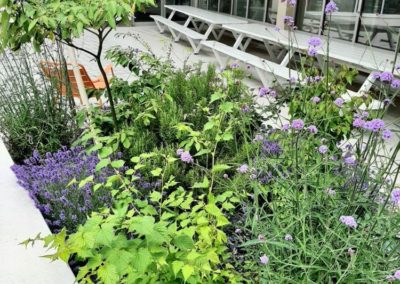 Installation de plantes pour la terrasse d'un bureau