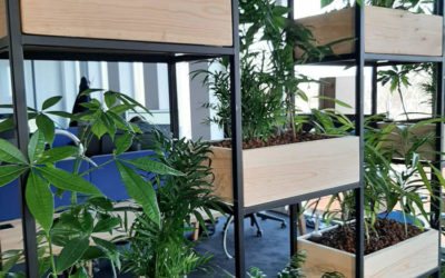 Mobilier ou meuble végétal fonctionnel pour optimiser votre espace de travail