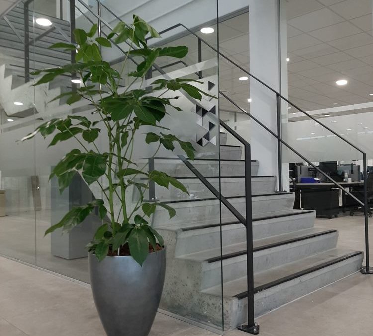 Location de plantes d’intérieur pour bureaux ou espaces communs 59/62