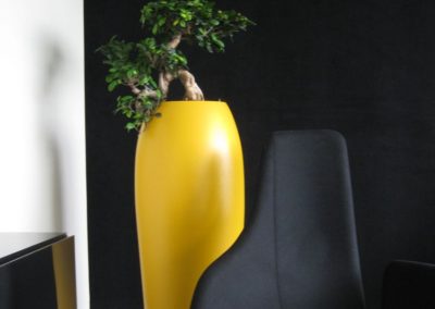 Louer des plantes pour vos bureaux avec pots sur-mesure