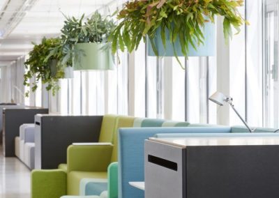 Louer plantes d'interieur