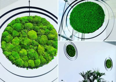 Mousse végétale pour décorer vos bureaux