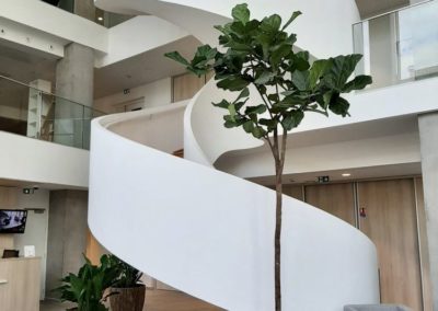 Pot et plante en location pour vos bureaux et hall d'accueil