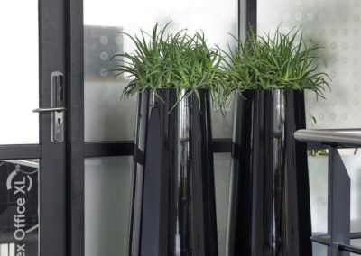 Pot haut avec plantes en location pour vos bureaux