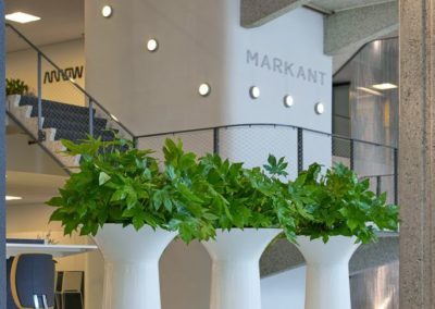 Pots et plantes d'exeption pour vos bureaux