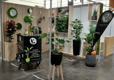 Location de plantes pour stand