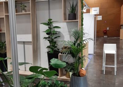 Stand location de plantes Lille