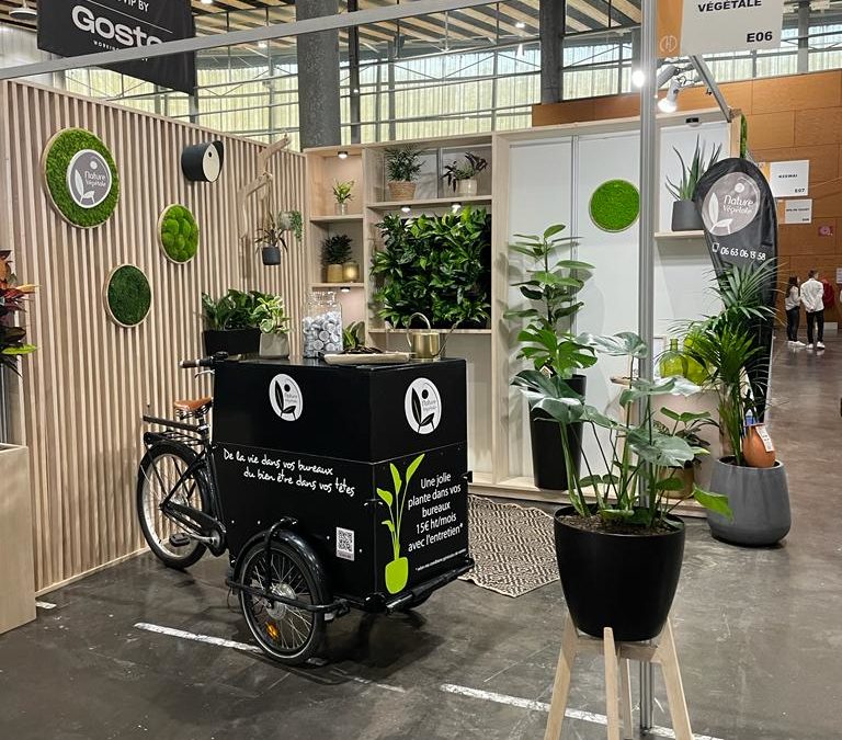 Location Événementielle de Plantes et Mobiliers pour une Ambiance Naturelle de votre stand