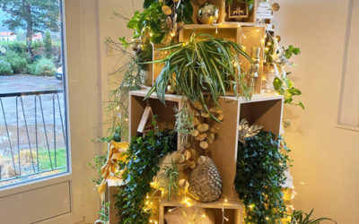 Un Noël qui s’épanouit : Découvrez notre Sapin Unique composé de Jardinières de Bois et Plantes pour une Célébration Verte et Mémorable !
