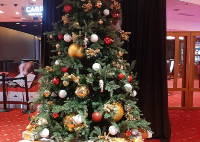 location sapin de noel pour hotels Lille