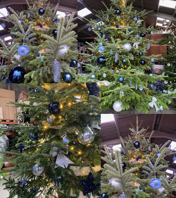 Sapins de Noël : Louez, Installez et Décorez par Nature Végétale pour une Ambiance Festive dans vos Espaces Communs