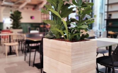 Agrémentez vos espaces professionnels avec nos jardinières en bois mobile sur-mesure