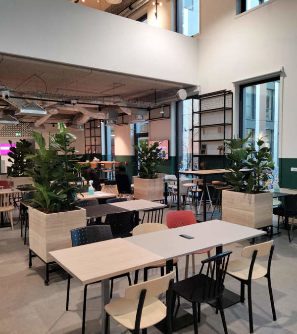 Plantes et Pots dans vos espaces communs Lille