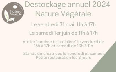 Valoriser l’Upcycling pour une Démarche Écoresponsable : Réduisez votre empreinte écologique tout en embellissant votre espace