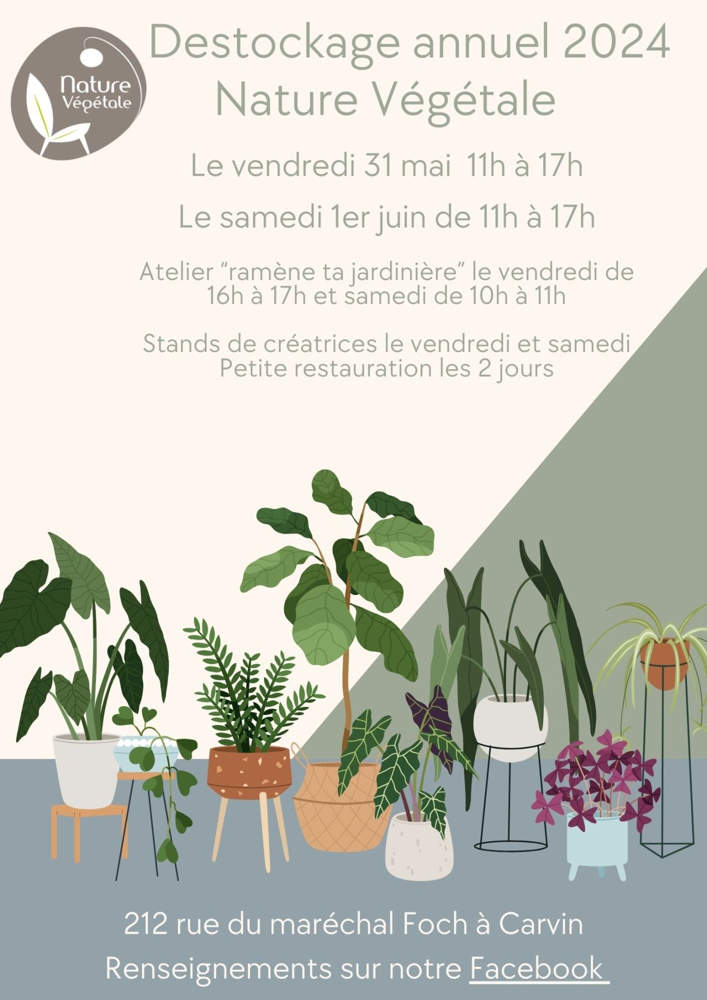 Destockage plantes et pots Lille