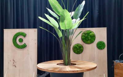 Créez une Ambiance Unique avec des Plantes et Mange-Debouts Végétaux pour vos Événements