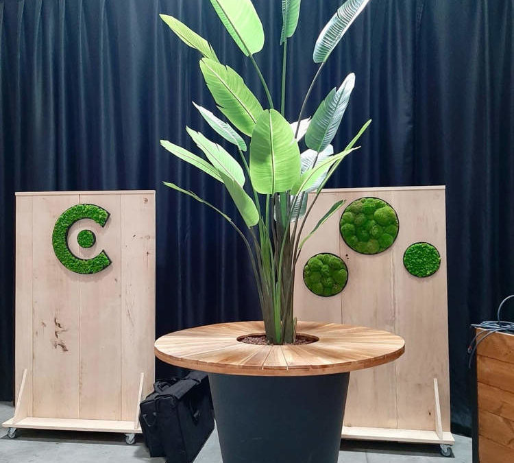 Créez une Ambiance Unique avec des Plantes et Mange-Debouts Végétaux pour vos Événements