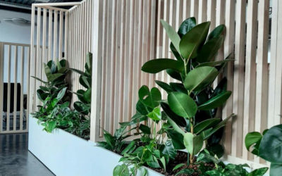 Végétalisation des Espaces Professionnels: Une Collaboration Réussie avec BR-UNITS