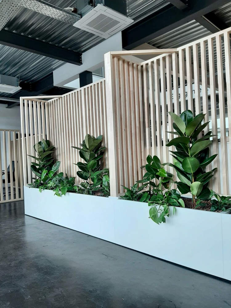 location et entretien de plantes lille