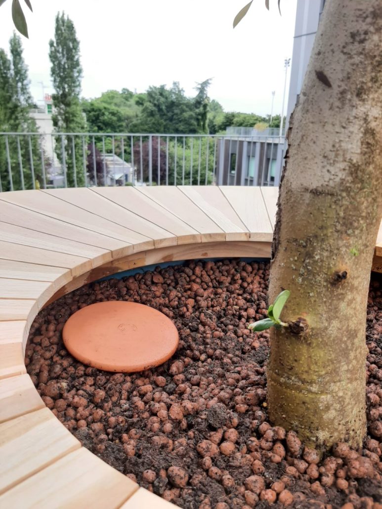 Ollas terre cuite pour plantes