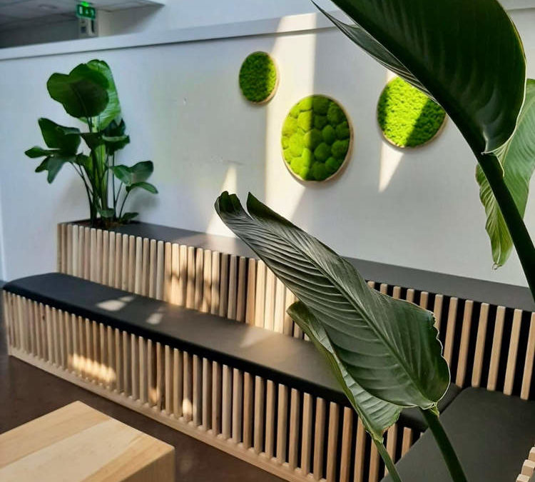 Transformez Vos Espaces de Travail avec la Location de Plantes sur Mesure