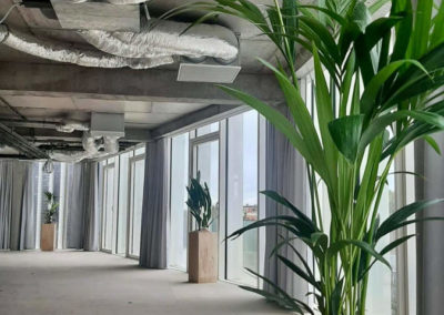 installation de plantes avec pots en bois