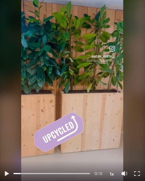 Offrez une Seconde Vie à Nos Jardinières pour Vos Espaces de Travail