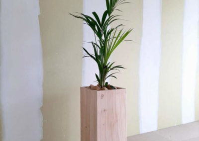 location de plante avec pot