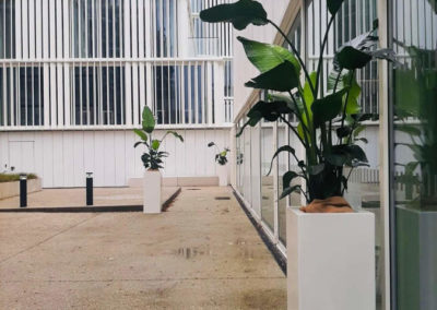 location de plantes