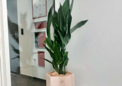 pot en bois sur-mesure pour vos espaces de travail