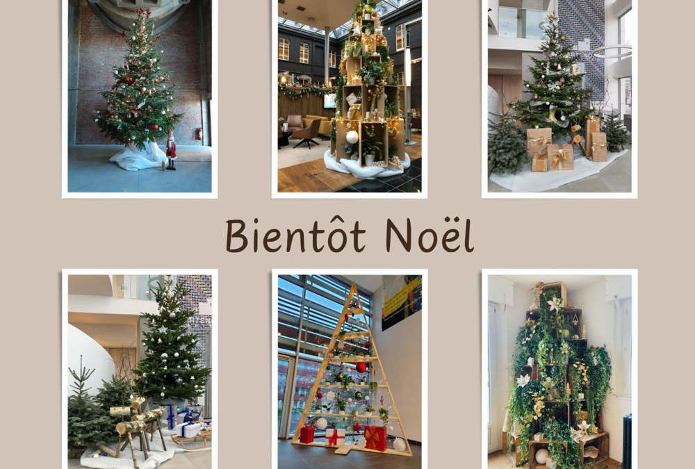 Sapins naturels et écoresponsables pour vos bureaux ou espaces de travail : ambiance festive garantie
