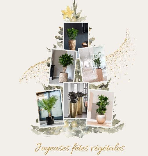 Nature Végétale Vous Souhaite un Joyeux Noël : Bien-être et Végétal au Rendez-Vous