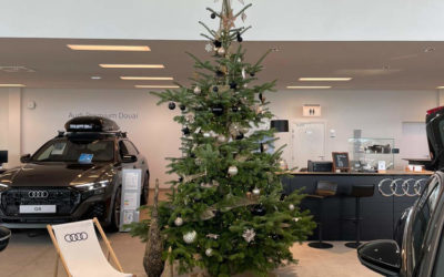 Installation et décoration de Noël pour les entreprises : une ambiance magique pour vos fêtes